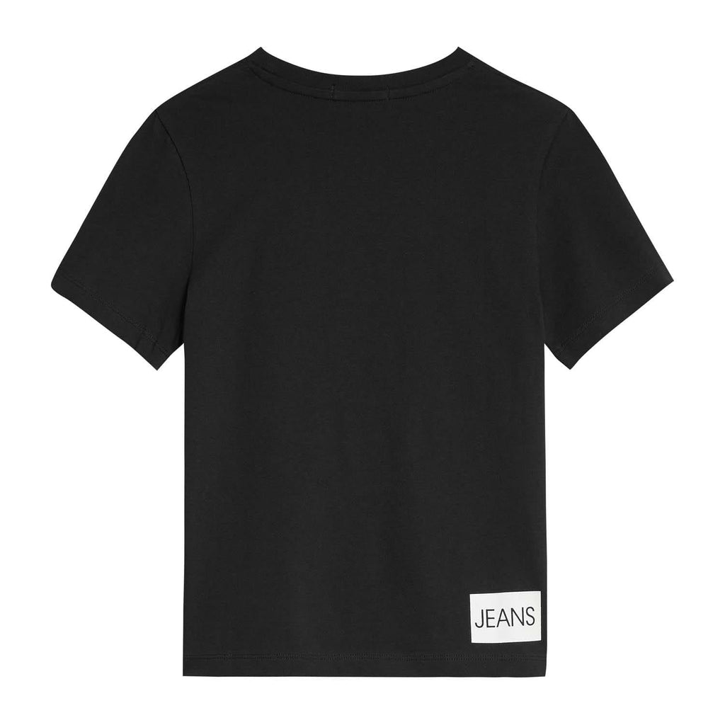 CALVIN KLEIN INSTITUTIONAL T-SHIRT