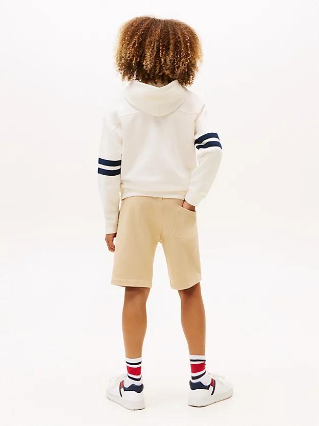 TOMMY HILFIGER TH MIXED GRAPHIC HOODIE