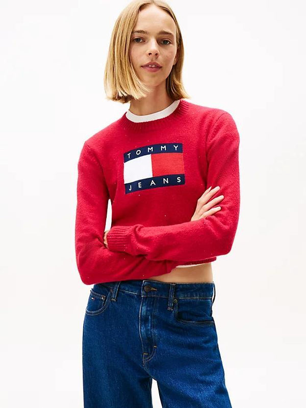 TOMMY JEANS TJW SPARKLE FLAG SWE