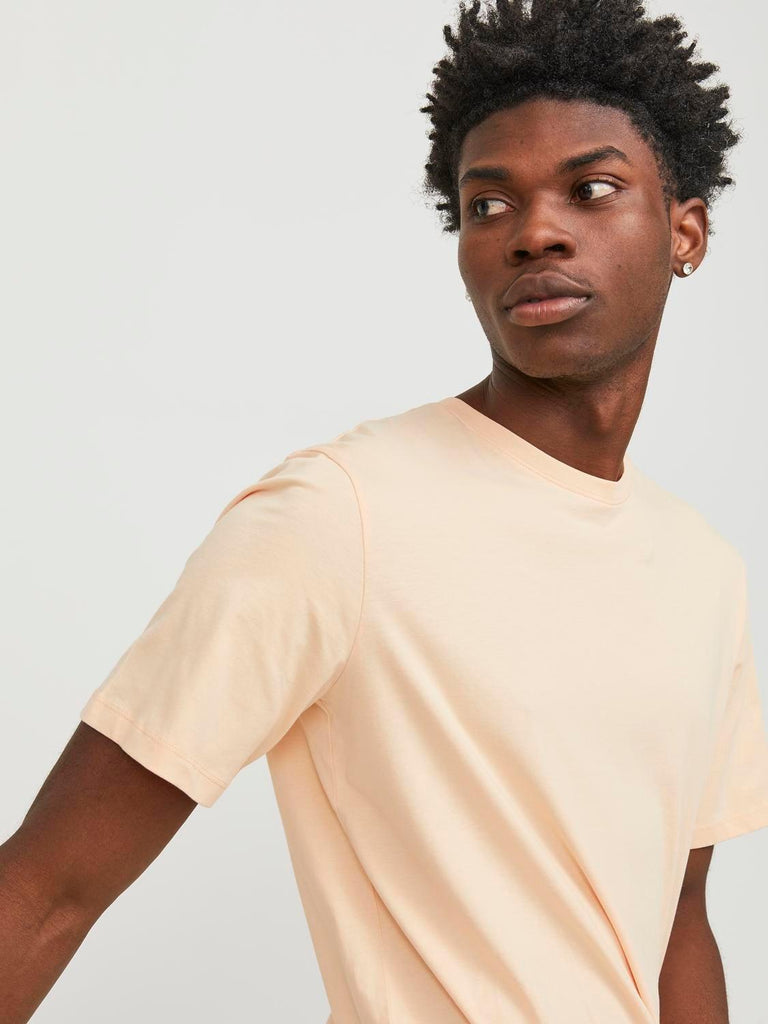 JACK AND JONES JJEORGANIC BASIC TEE SS O-NECK NOOS