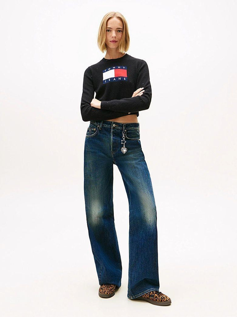 TOMMY JEANS TJW SPARKLE FLAG SWE
