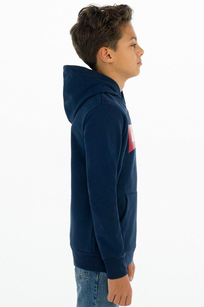 LEVI`S LVB-BATWING SCREENPRINT HOODIE