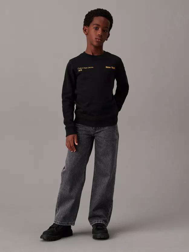 CALVIN KLEIN JEANS TERRY GRAPHIC CN