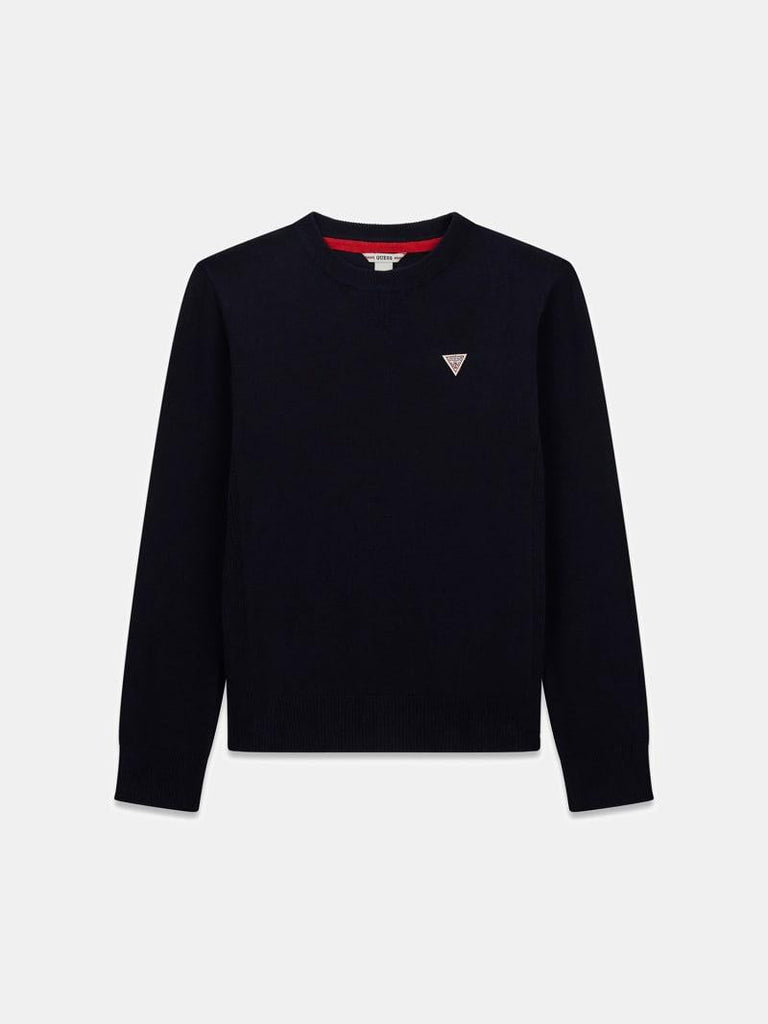 GUESS LS SWEATER_CORE