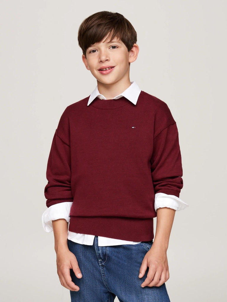 TOMMY HILFIGER ESSENTIAL  SWEATER
