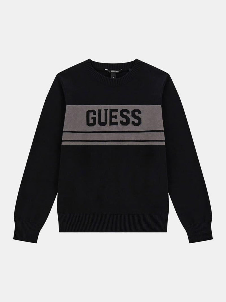 GUESS LS SWEATER