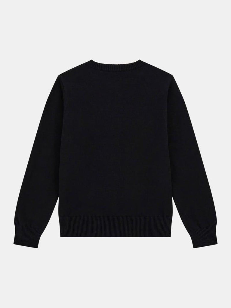 GUESS LS SWEATER