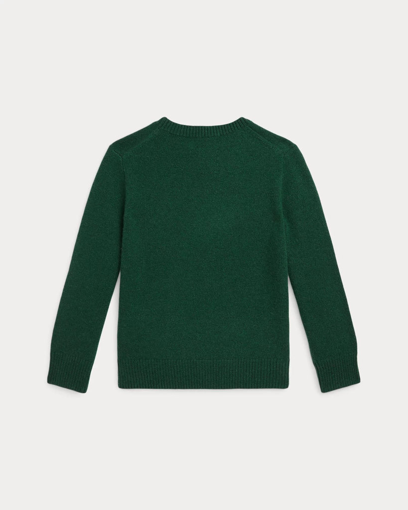 RALPH LAUREN LS CN TONAL-SWEATER-PULLOVER