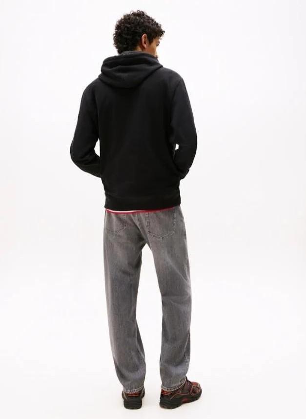 TOMMY JEANS TJM REG RWB FLAG HOO