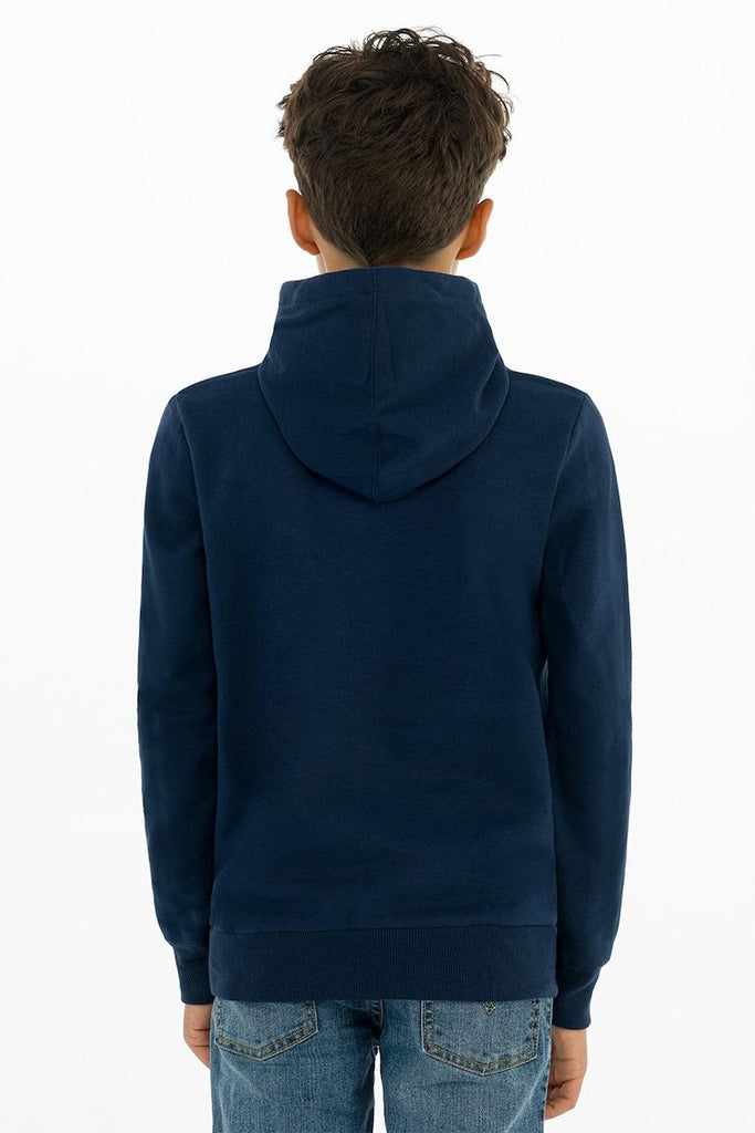 LEVI`S LVB-BATWING SCREENPRINT HOODIE
