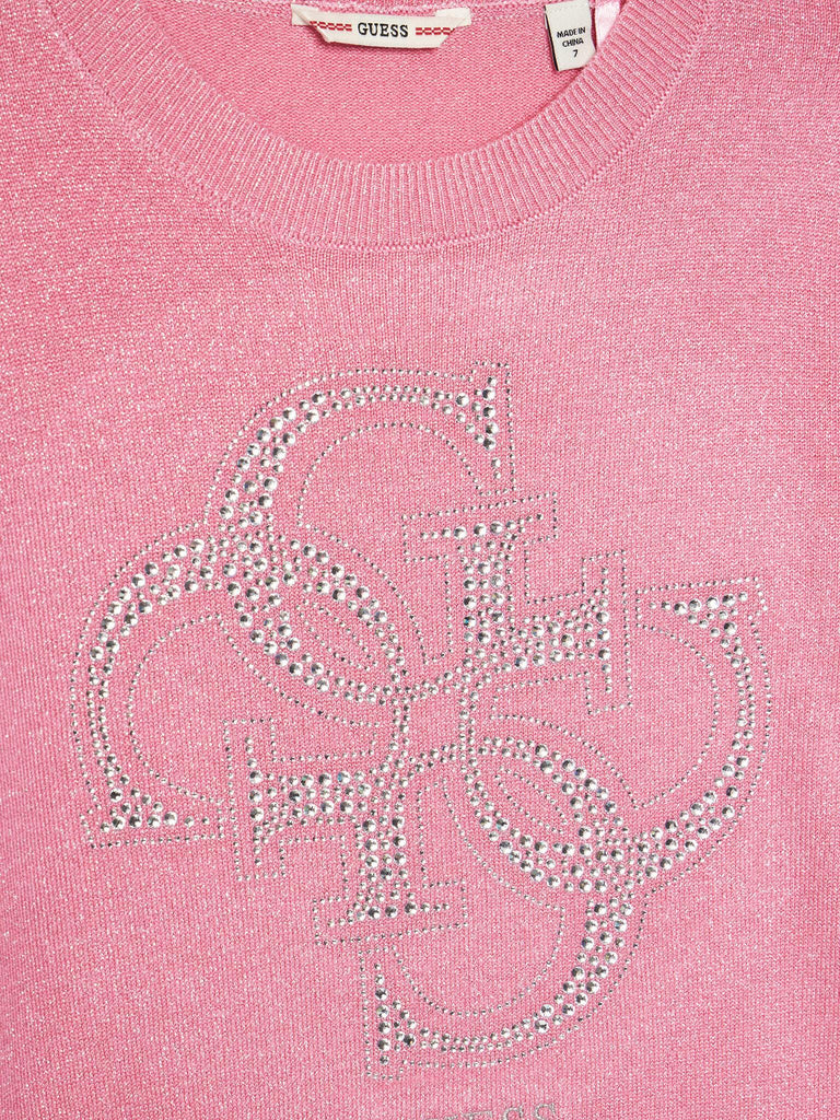 GUESS LS SWEATER