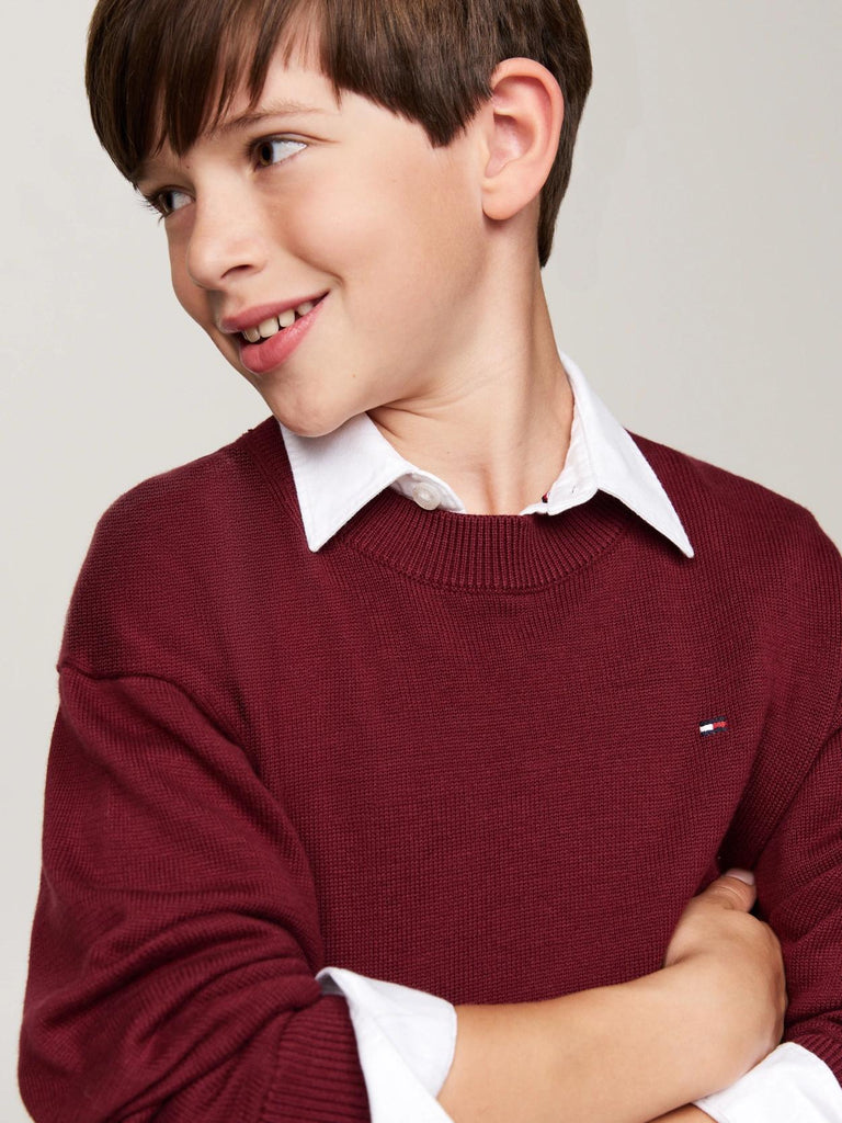 TOMMY HILFIGER ESSENTIAL  SWEATER