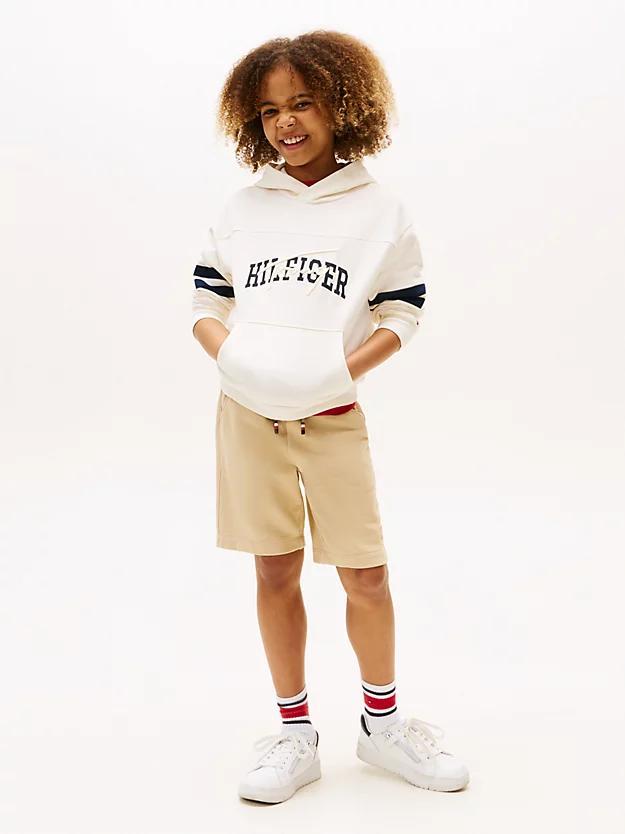 TOMMY HILFIGER TH MIXED GRAPHIC HOODIE