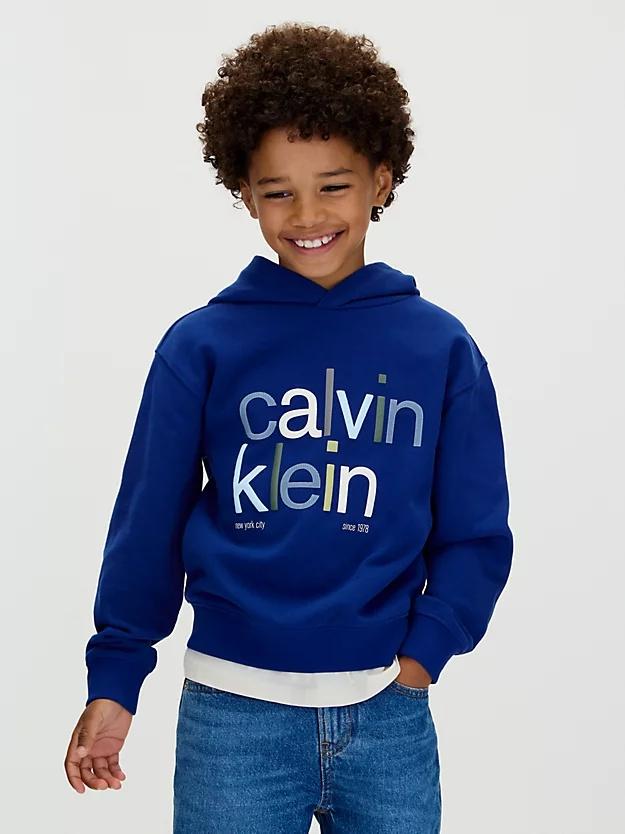 CALVIN KLEIN JEANS COLOR LOGO GRAPHIC TERRY HOODI