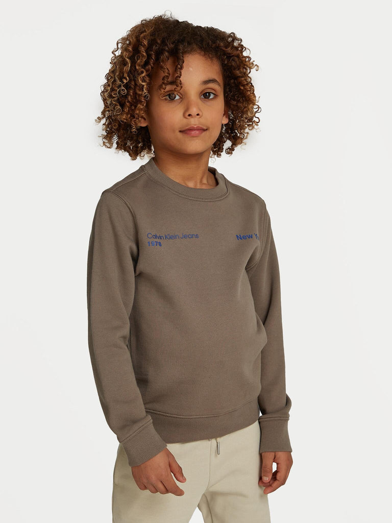CALVIN KLEIN JEANS TERRY GRAPHIC CN