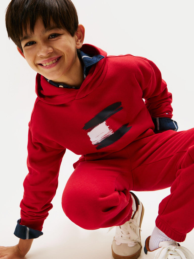TOMMY HILFIGER FLAG HOODIE