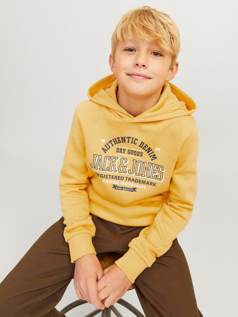 JACK JONES KIDS JJELOGO SWEAT HOOD 2 COL 24/25 NOOS JNR